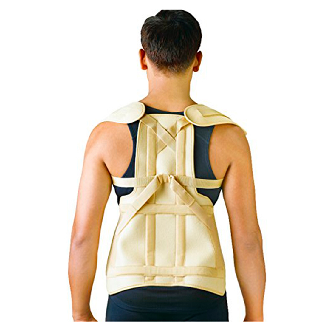 Thoraco Lumbar Support available in online  pharmacy qatar, doha 